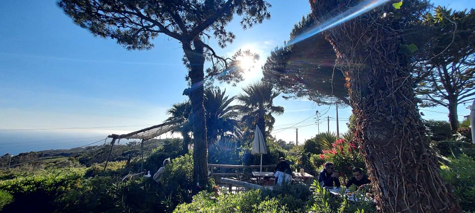 Lisbon: Coastal Sunset Tour With Sparkling Wine and Snacks - Highlights