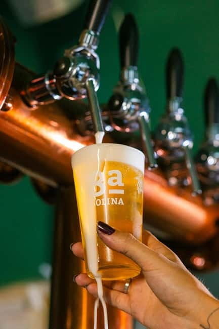 Lisbon: Craft Beer Tasting - The Sum Up: A Great Choice for Curious, Casual Drinkers