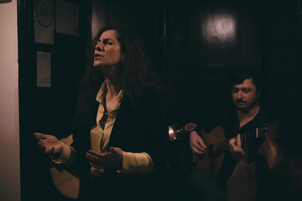 Lisbon: Dinner with Fado Show with the Rising Stars of Fado - Who Should Consider This Tour?