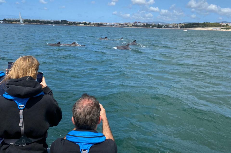 Lisbon: Dolphin Watching Boat Tour - Frequently Asked Questions