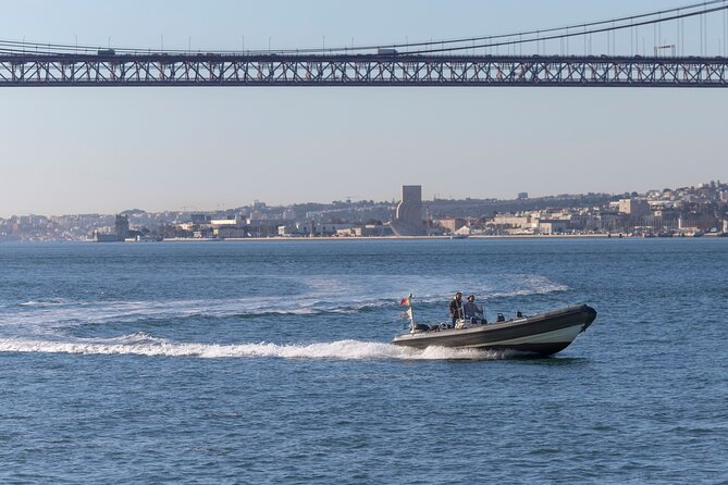 Lisbon Dolphin Watching With a Marine Biologist in a Small Group - Reviews