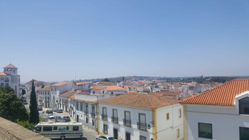 Lisbon: Évora and Alentejo Private Wine Tour - Discovering the Roman Landmark