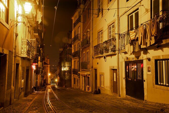 Lisbon Fado Dinner Show and Panoramic Night Tour - Who Will Love This Experience?