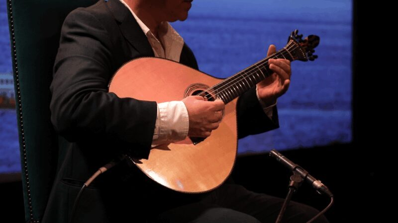 Lisbon: Fado in Chiado Live Show - An Introduction to Fado in Chiado