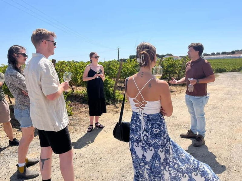 Lisbon: Full-Day Wine Tasting Tour in Setúbal ALL INCLUSIVE - Key Points