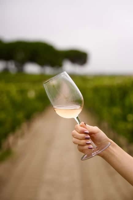 Lisbon: Full-Day Wine Tasting Tour in Setúbal ALL INCLUSIVE - How the Tour Works: Practical Details