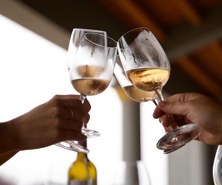 Lisbon: Full-Day Wine Tasting Tour in Setúbal ALL INCLUSIVE - Final Thoughts