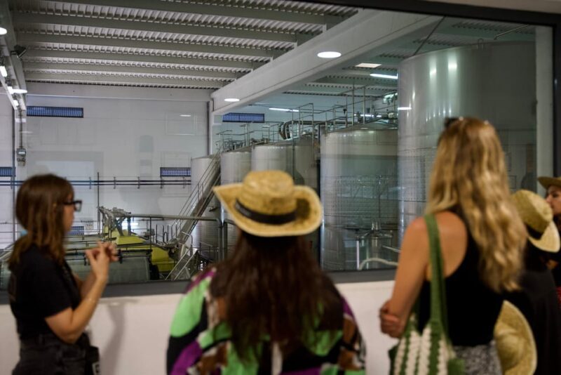 Lisbon: Full-Day Wine Tasting Tour in Setúbal ALL INCLUSIVE - FAQ