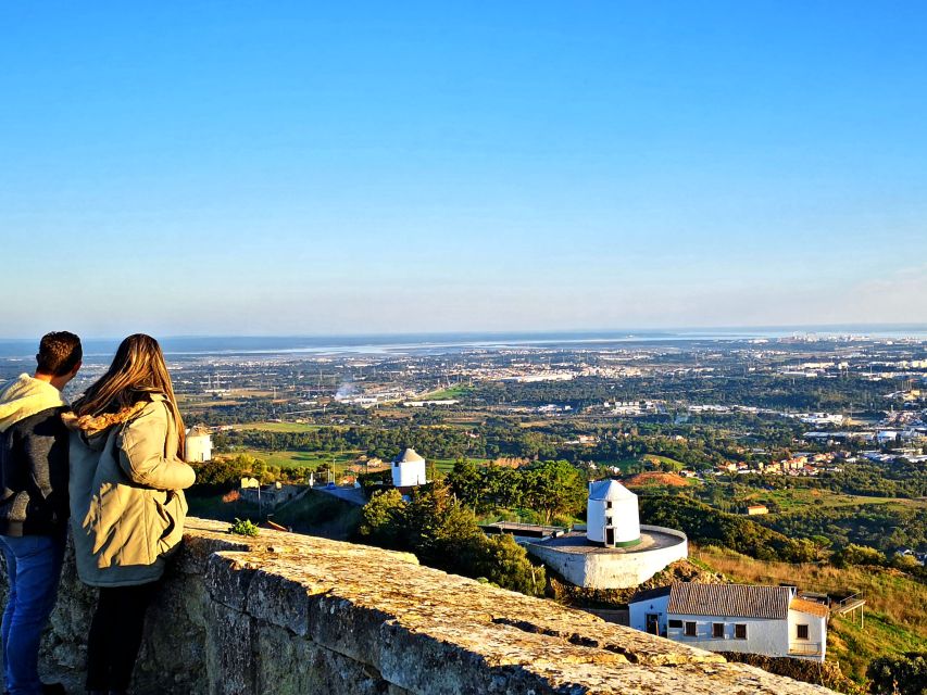Lisbon: Guided Setúbal History and Fish Market Tour - Tour Highlights