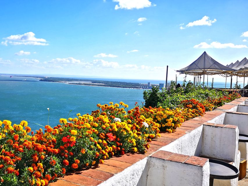 Lisbon: Guided Setúbal History and Fish Market Tour - How to Reserve