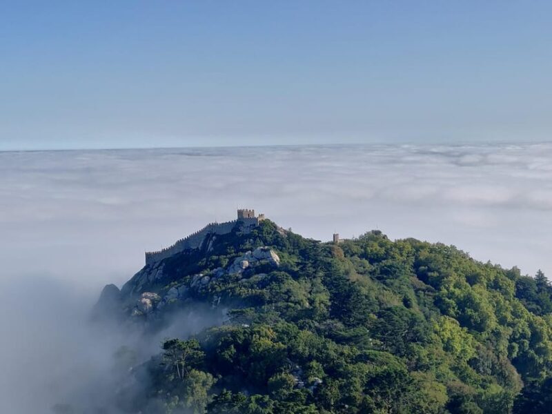 Lisbon: Half-Day Sintra Tour with Pena Palace and Regaleira - Key Points: