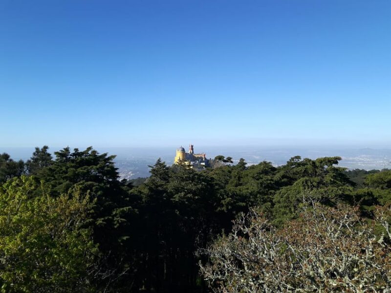 Lisbon: Half-Day Sintra Tour with Pena Palace and Regaleira - Final Thoughts