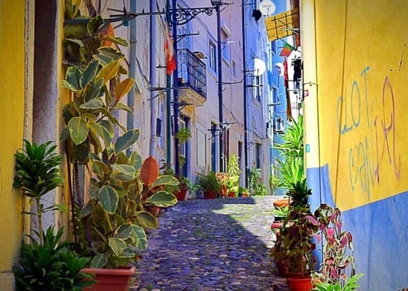 Lisbon Highlights Tuk Tuk Tour  Historic & Scenic Guide - Authenticity & What Past Travelers Say
