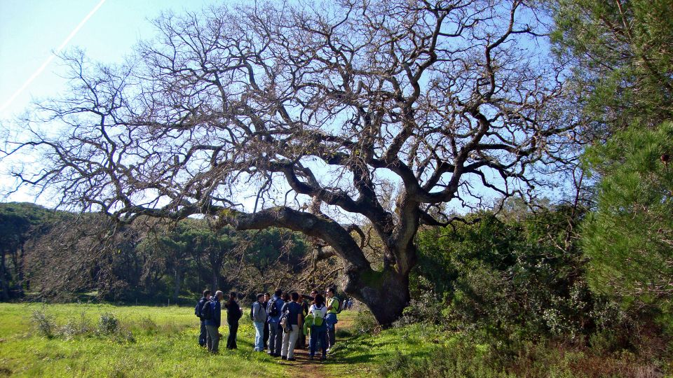 Lisbon: Hiking in Arrábida Natural Park - Booking and Cancellation Policy