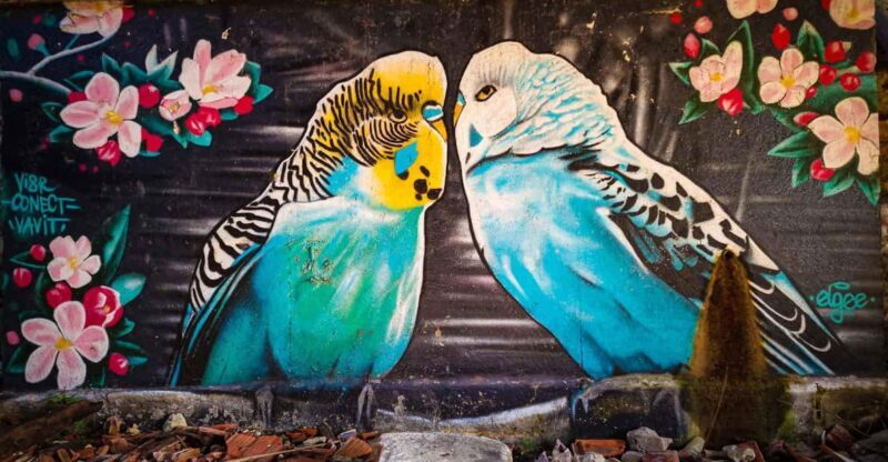 Lisbon: Lost Places & Streetart-Tour for Photographer - Key Points