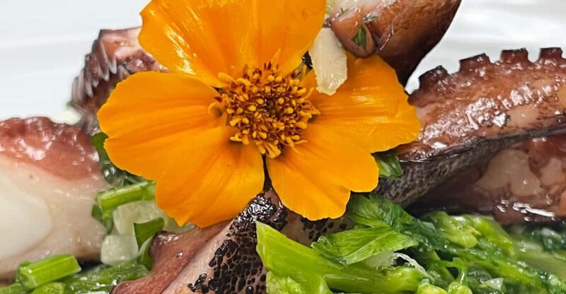 Lisbon: Market Experience & Cooking Class - Frequently Asked Questions