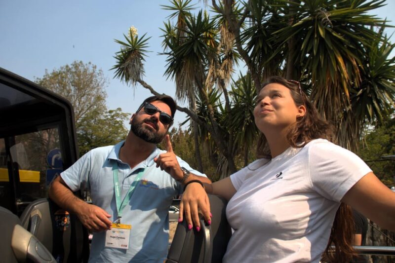 Lisbon: MiniBus Sintra, Pena, Regaleira, Cap Roca Tour - The Sum Up: Is This Tour Right for You?