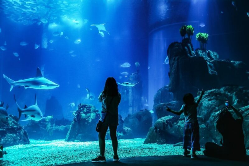 Lisbon: Oceanário de Lisboa Entrance Ticket - A Deep Dive Into the Oceanarium Experience