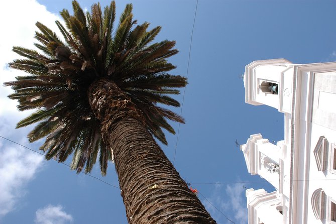 Lisbon Old Town Tour - Tour Inclusions