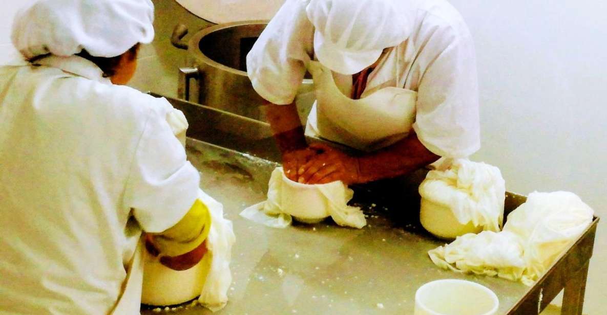 Lisbon Portugal Highest Mountain Cheese Factory Bread Museum - Experience Highlights