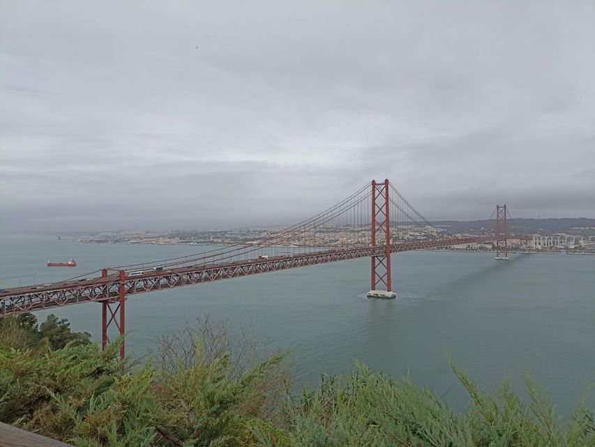 Lisbon: Private Arrábida and Dolphin Watching Boat Tour - Boat Tour and Wildlife Viewing