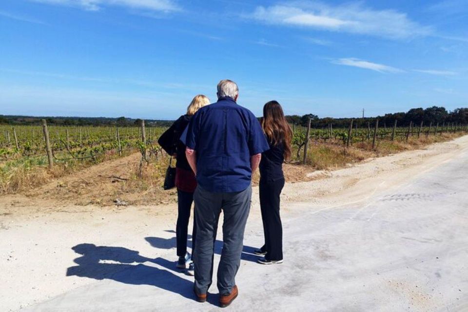 Lisbon: Private Full Day Evora & Alentejo Wine Tour - Tour Itinerary