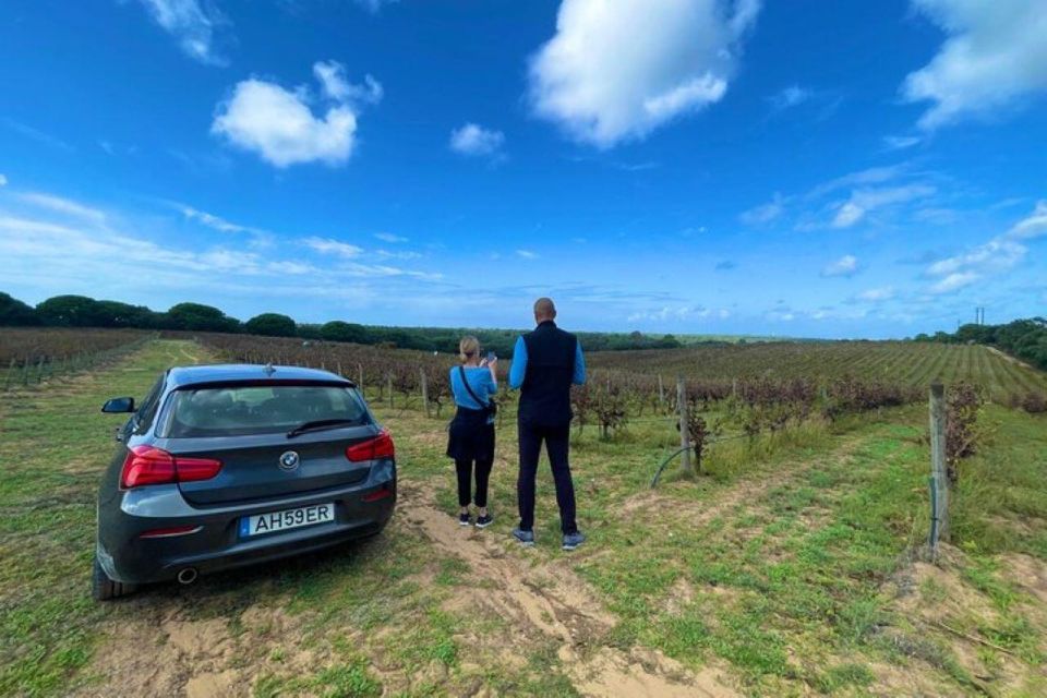 Lisbon: Private Full Day Evora & Alentejo Wine Tour - Corticarte - Art in Cork Lda
