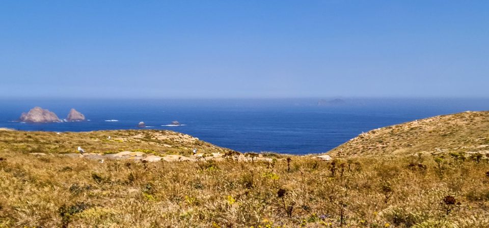 Lisbon: Private Full Day Tour to Berlengas Island - Boat Journey to Archipelago