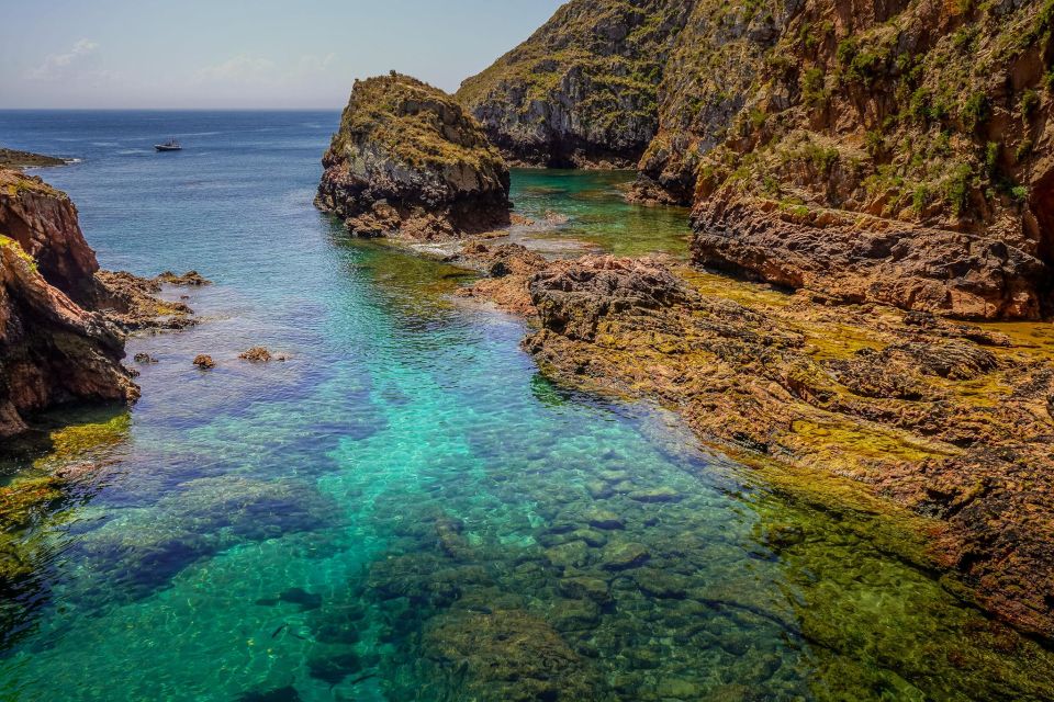Lisbon: Private Full Day Tour to Berlengas Island - Visit to Óbidos
