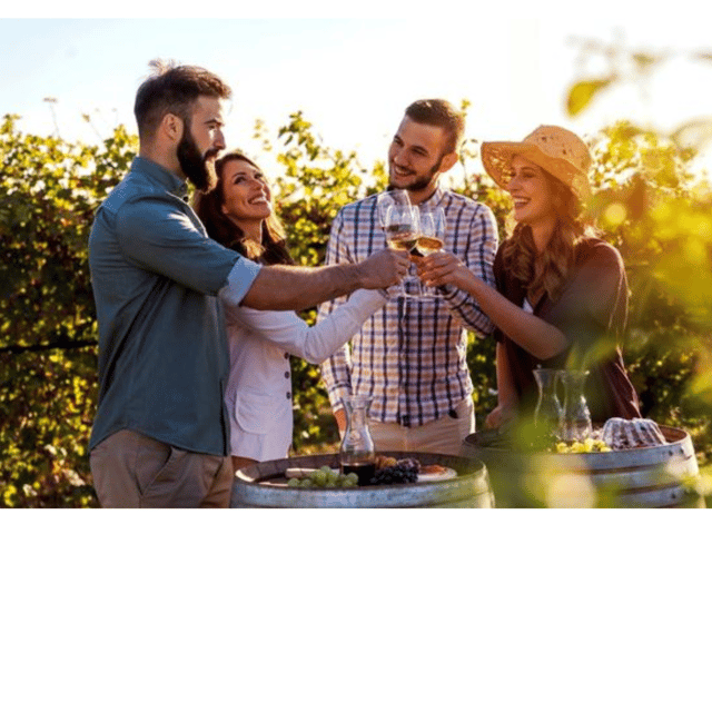 Lisbon: Private Full-Day Wine Tour with Driver - Key Points