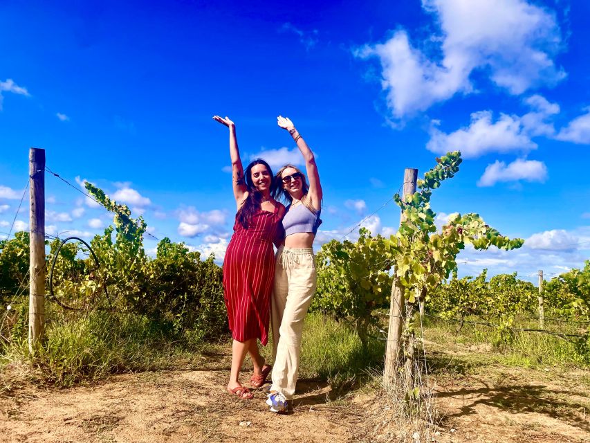 Lisbon: Private Setubal & Arrabida Wine Tour With Lunch - Pickup and Drop-off