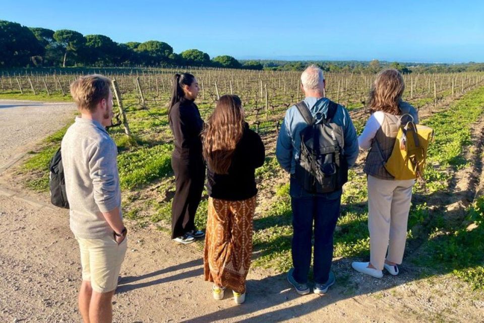 Lisbon: Private Setubal & Arrabida Wine Tour With Lunch - Traditional Tile-making