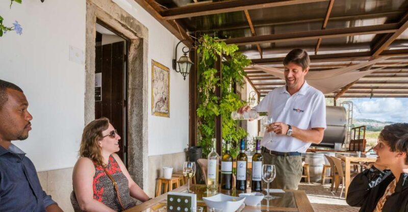 Lisbon Private Setúbal Region Wine Tasting Tour - An Authentic Wine Journey Out of Lisbon