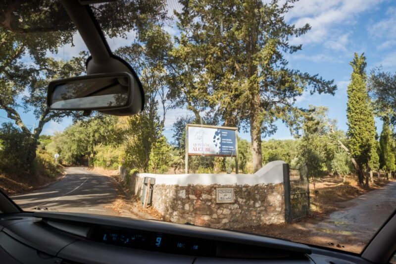 Lisbon Private Setúbal Region Wine Tasting Tour - Transportation & Group Size