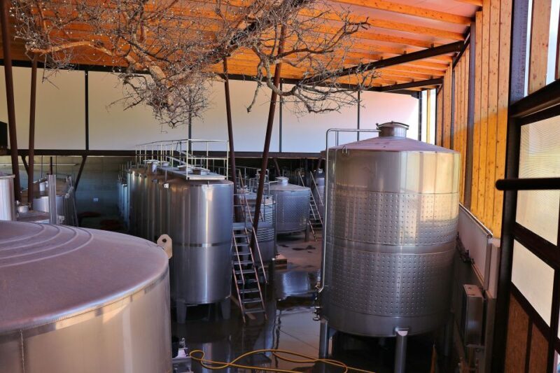 Lisbon Private Setúbal Region Wine Tasting Tour - FAQs