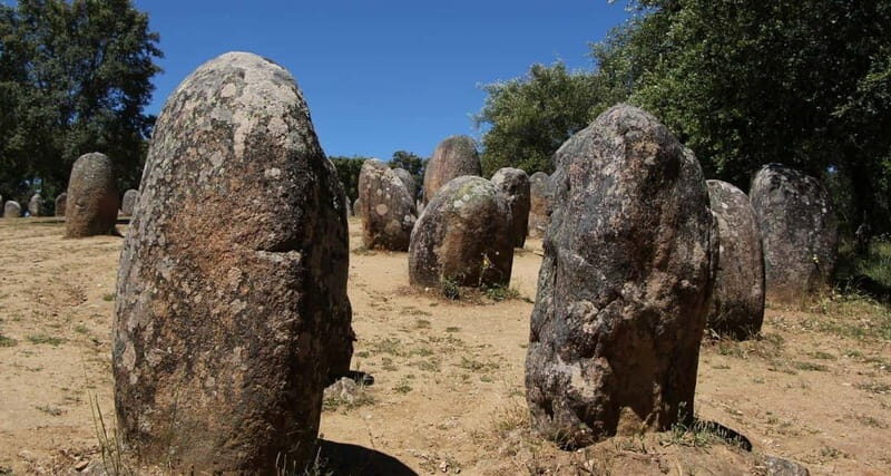 Lisbon: Private Tour to Evora with Private Transport & Guide - The Practicalities