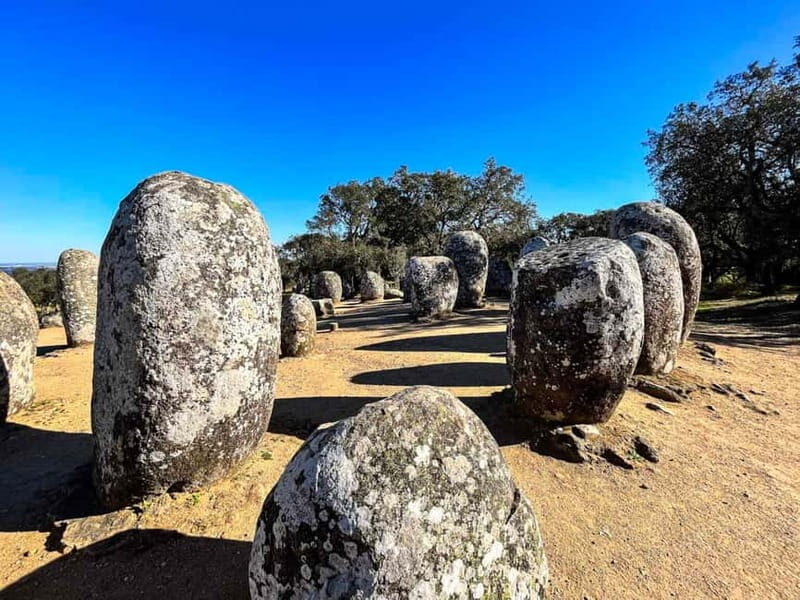 Lisbon: Private Tour to Evora with Private Transport & Guide - FAQ