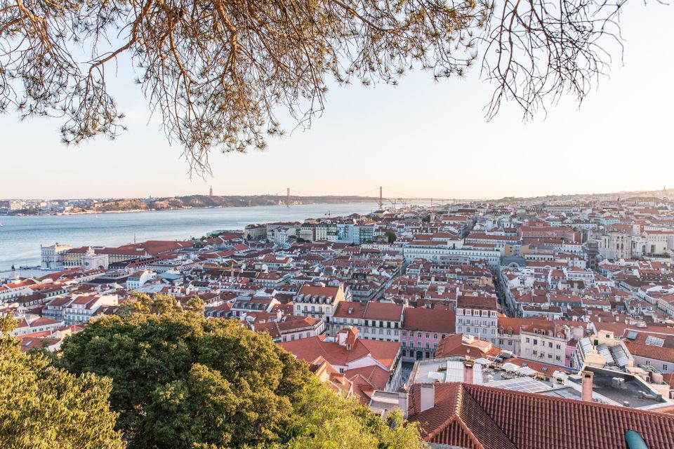 Lisbon: Private Tuk Tuk Tour of the Historic Neighbourhoods - Discovering Lisbons Neighborhoods