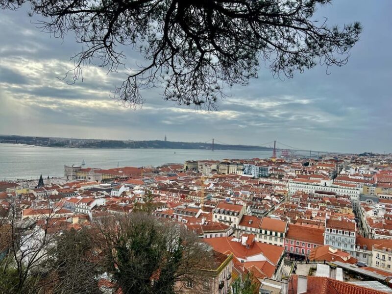 Lisbon: Private Tuk Tuk Tour with Polaroid Photos - Practical Details and Considerations