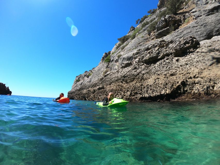 Lisbon: Sesimbra Underwater Exploration by Seaview Board - Highlights of the Experience