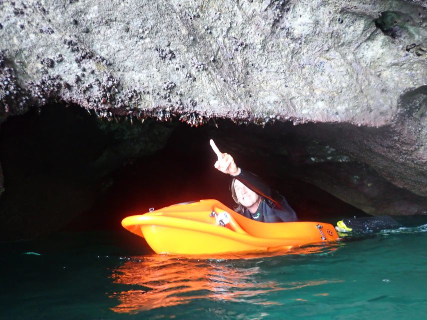 Lisbon: Sesimbra Underwater Exploration by Seaview Board - What to Expect Underwater