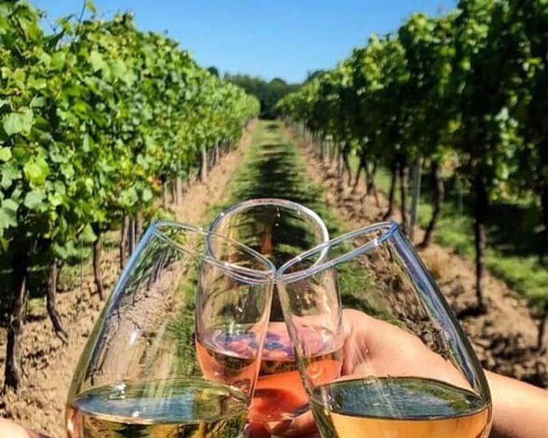 Lisbon: Setúbal, Arrábida and Azeitão Private Wine Tour - Key Points