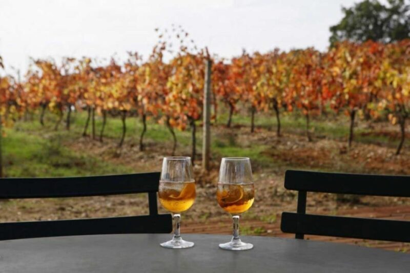 Lisbon: Setúbal, Arrábida and Azeitão Private Wine Tour - Key Points