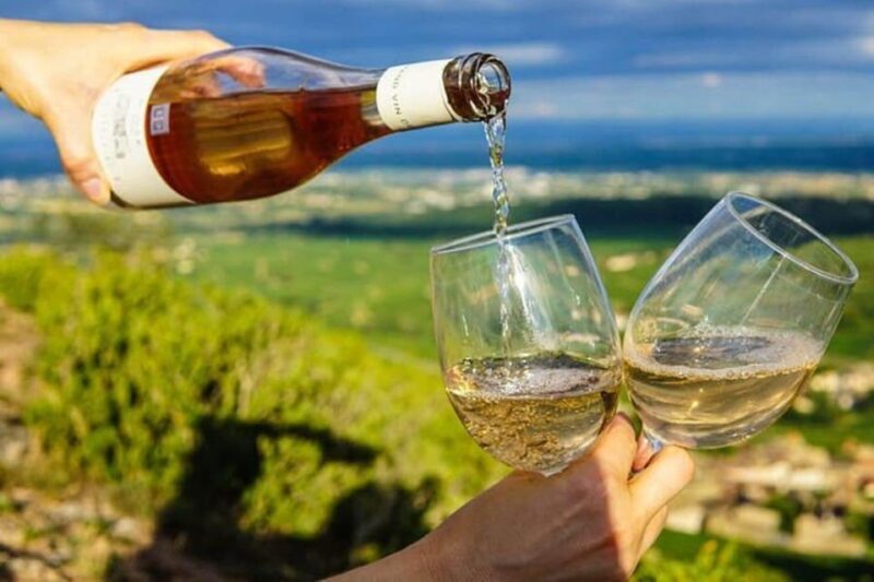 Lisbon: Setúbal, Arrábida and Azeitão Private Wine Tour - The Sum Up