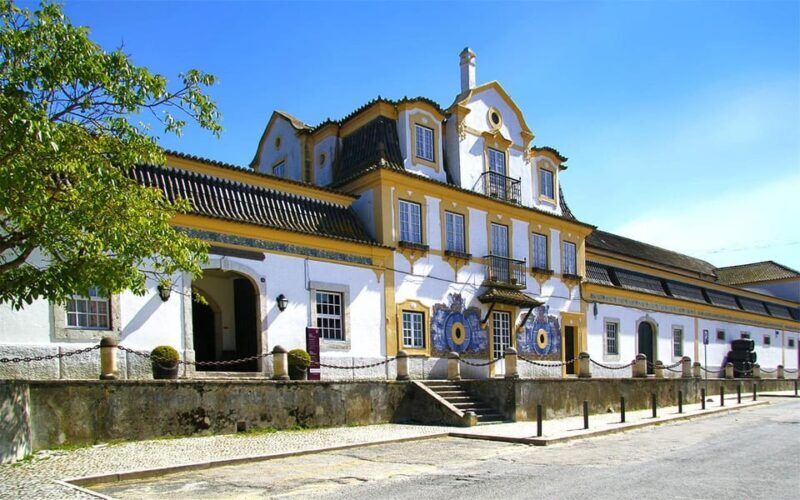 Lisbon: Setúbal Peninsula Tour with Wine Tasting & Local - FAQ (Frequently Asked Questions)