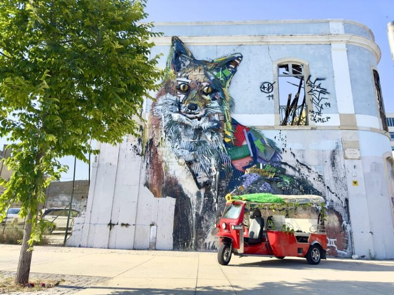 Lisbon: Sightseeing City Tour by Tuk-Tuk - An Overview of the Experience