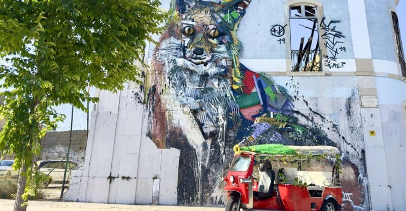 Lisbon: Sightseeing City Tour by Tuk-Tuk - Authentic Neighborhoods and Hidden Gems