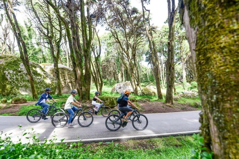 Lisbon: Sintra Magical e-Bike Tour + Lunch & Pena Palace - The Experience in Action