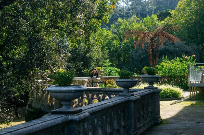 Lisbon/Sintra: Monserrate Palace Guided Tour with Pickup - Price and Value