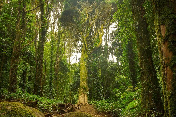 Lisbon: Sintra, Pena Palace, Cascais & Cabo Small Group Day Tour - FAQ